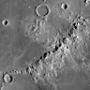 Meet your Posher, Rick